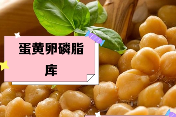 鸡蛋黄富含卵磷脂