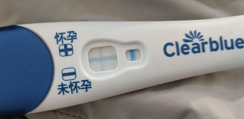 着床需要一个过程