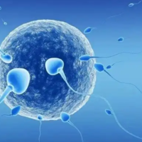 有人能说下格鲁吉亚试管婴儿成功的真实经历吗?