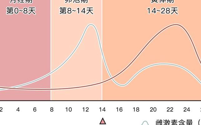 做试管初次去检查什么啥时间去？月经期去还是非月经期去PK