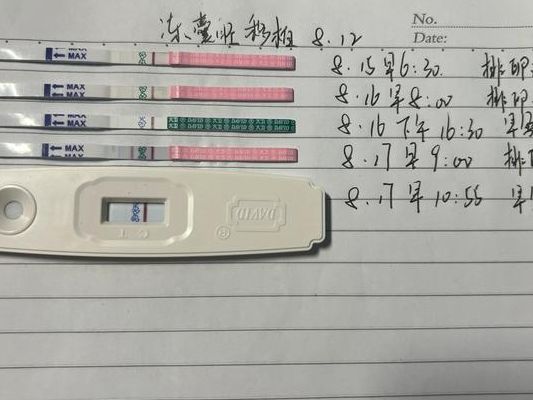 试管移植几个月才能过危险期？怀满3个月说法 vs 胚胎日龄评估标准