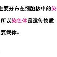 胎胚发育不好的原因：染色体种子说PK母体土壤说谁更关键