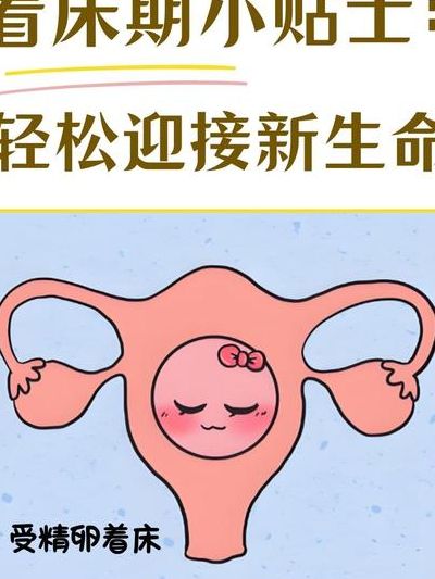 试管着床7个小妙招有哪些？生殖咨询师逐条讲清避坑点