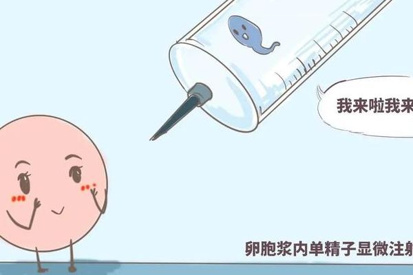 杭州可以做试管婴儿的医院有哪些？先查资质再按病因选