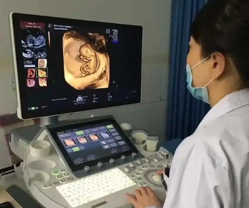 女宝四维图