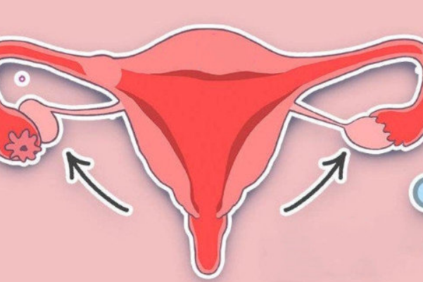 卵巢中有卵子做试管可怀孕