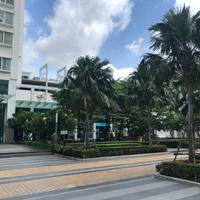 试管婴儿交流群用户头像