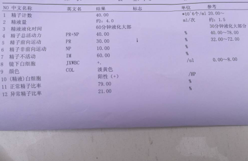 常规精液检查报告