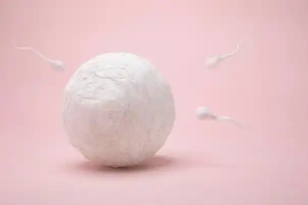 移植后不要久坐
