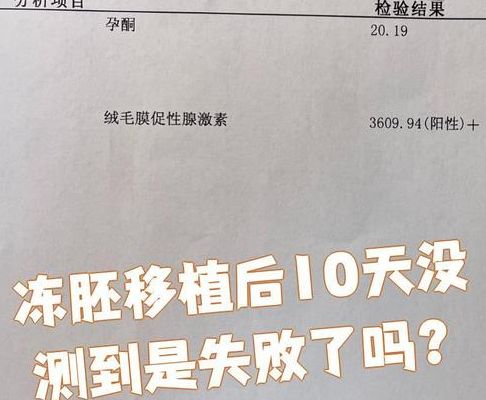 试管排名靠前次失败后多久可以做第二次？有冻胚和没冻胚差很多