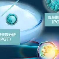 40周岁美国试管能成功吗？高龄生育的挑战与机遇并存