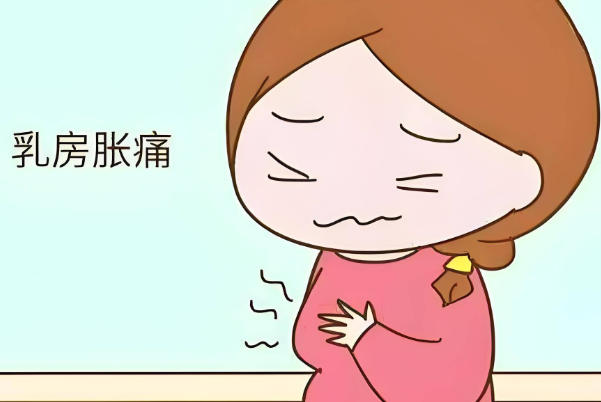 乳头疼不一定怀男孩