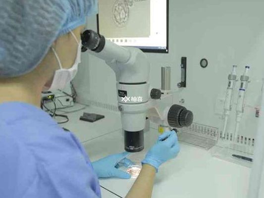 试管婴儿程序步骤包括哪些？从初诊到验孕的完整流程