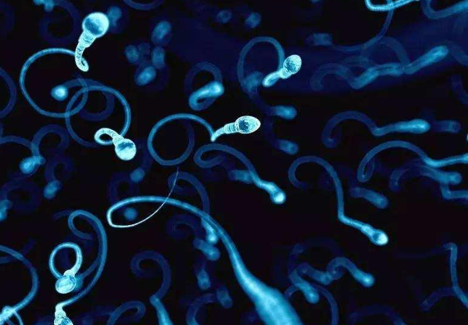 精子质量会影响怀孕