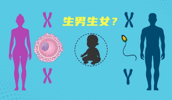 天津试管婴儿生儿子
