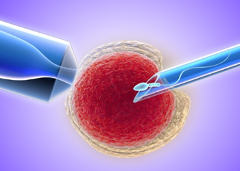 二代试管婴儿胚胎会比其他胚胎差吗?