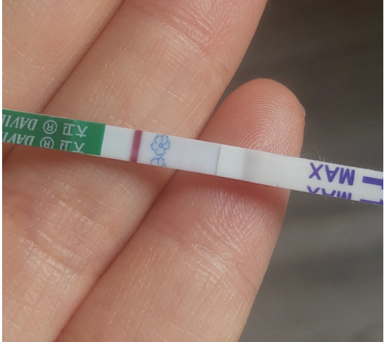 鲜胚移植5-7天后着床
