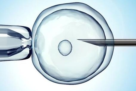 乌克兰试管婴儿多吗 2026真实情况：数量在减少但仍在运行