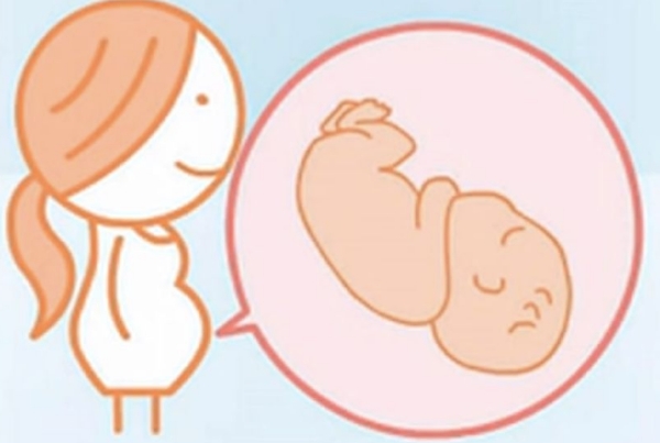 小个子怀双胎子宫明显压迫感比较大