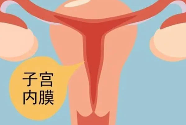 子宫内膜好的人成功率高