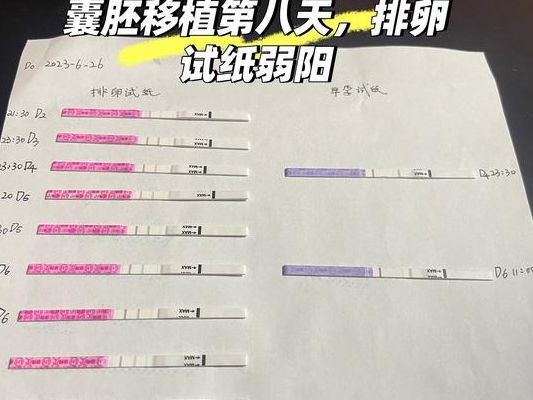 冻胚移植几天能用试纸测出来?4个判断维度帮你心里有底