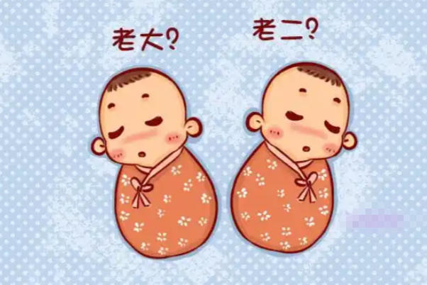 大部分双胞胎长相相像