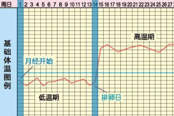 请问女性排卵期的体温变化图片是怎样的呢？