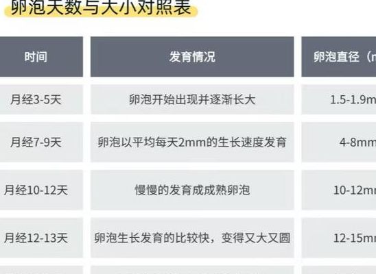 卵泡大小参照表：18毫米并非人人都要达标