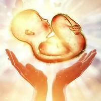 国内比较大的助孕机构，以公立医院生殖中心为核心