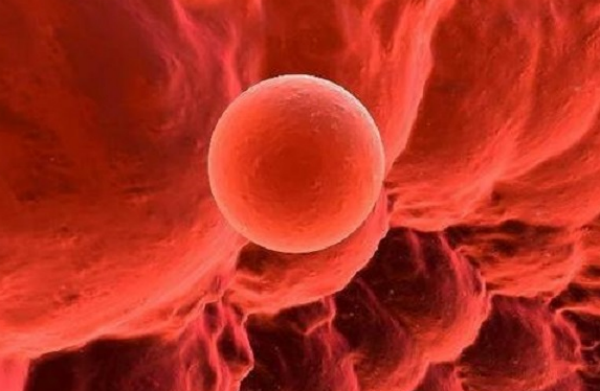 胚胎着床出血