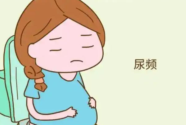 试管移植第5天尿多可能是正常的