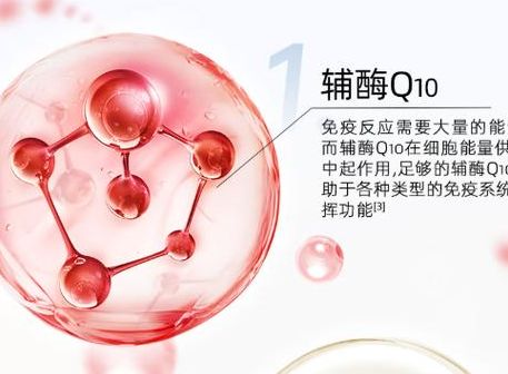 辅酶q10对胚胎着床的作用，我吃了半年才敢说真话
