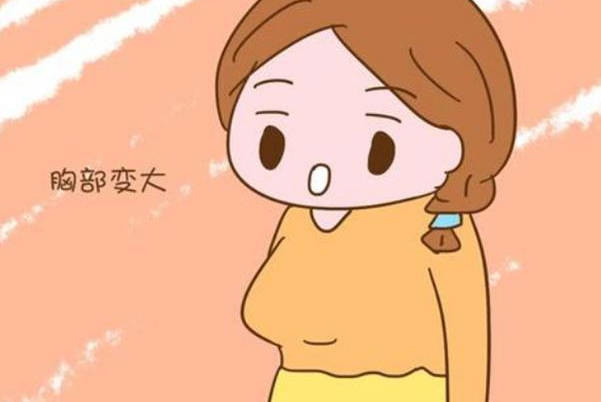激素上升造成乳房增大