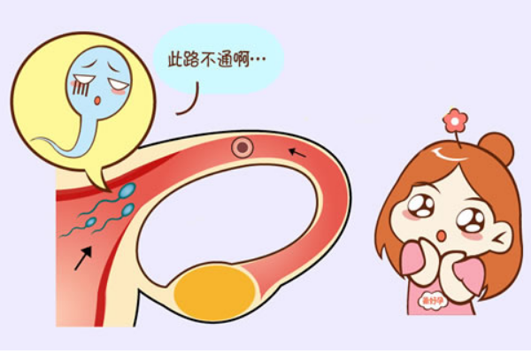 另一侧输卵管正常可做人工授精