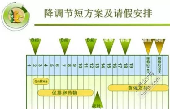 促排卵方案