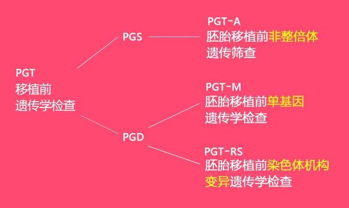 三代试管pgs能排除什么病？4个关键维度看清筛查边界