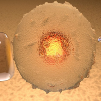 网传试管8细胞二级胚胎能养囊成功几率高，靠谱吗?