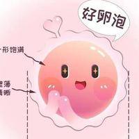 备孕期间怎么提高卵泡质量？生殖中心咨询师教你三步养出好卵泡