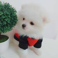 试管婴儿交流群用户头像