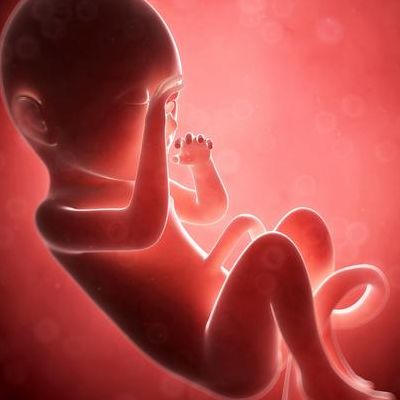 做试管婴儿的全部流程需要多久时间做完：真正进周约2个月