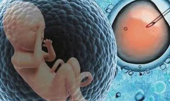 二代试管婴儿是通过体外受精的方式