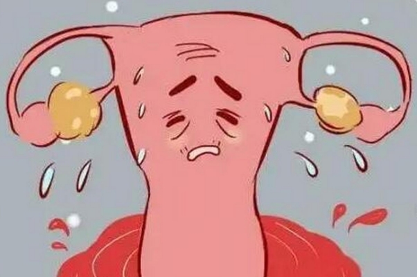 卵巢早衰可以做试管婴儿