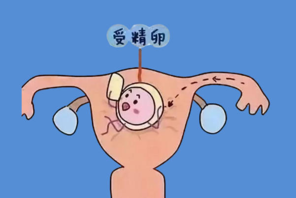 rpr阴性tppa阳性可以做试管