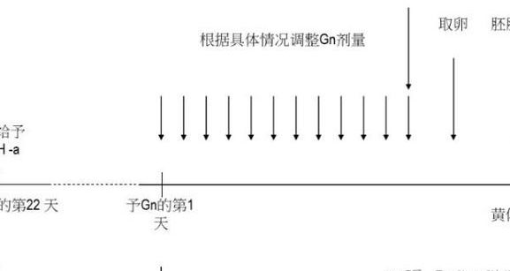 试管拮抗剂方案流程图？5个判断维度看懂它