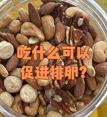 试管促排吃啥可以提高卵泡质量?优质蛋白加抗氧化
