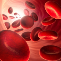 熊猫血：遗传几代的真相揭秘