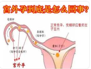 话题图标