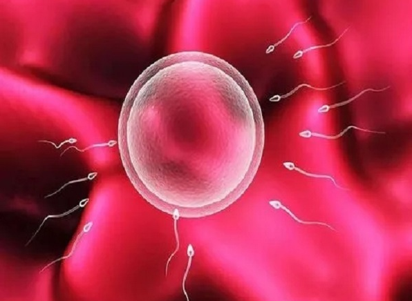 hiv阳性患者可以去做泰国洗精做试管吗?