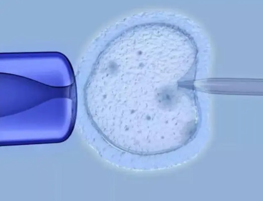 一个二级鲜胚可以做移植手术