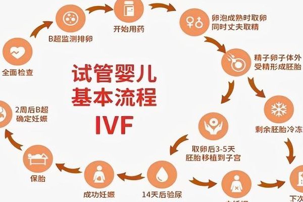 做试管的详细流程和检查PK：传统基础检查与深度分子检查，谁更关键？